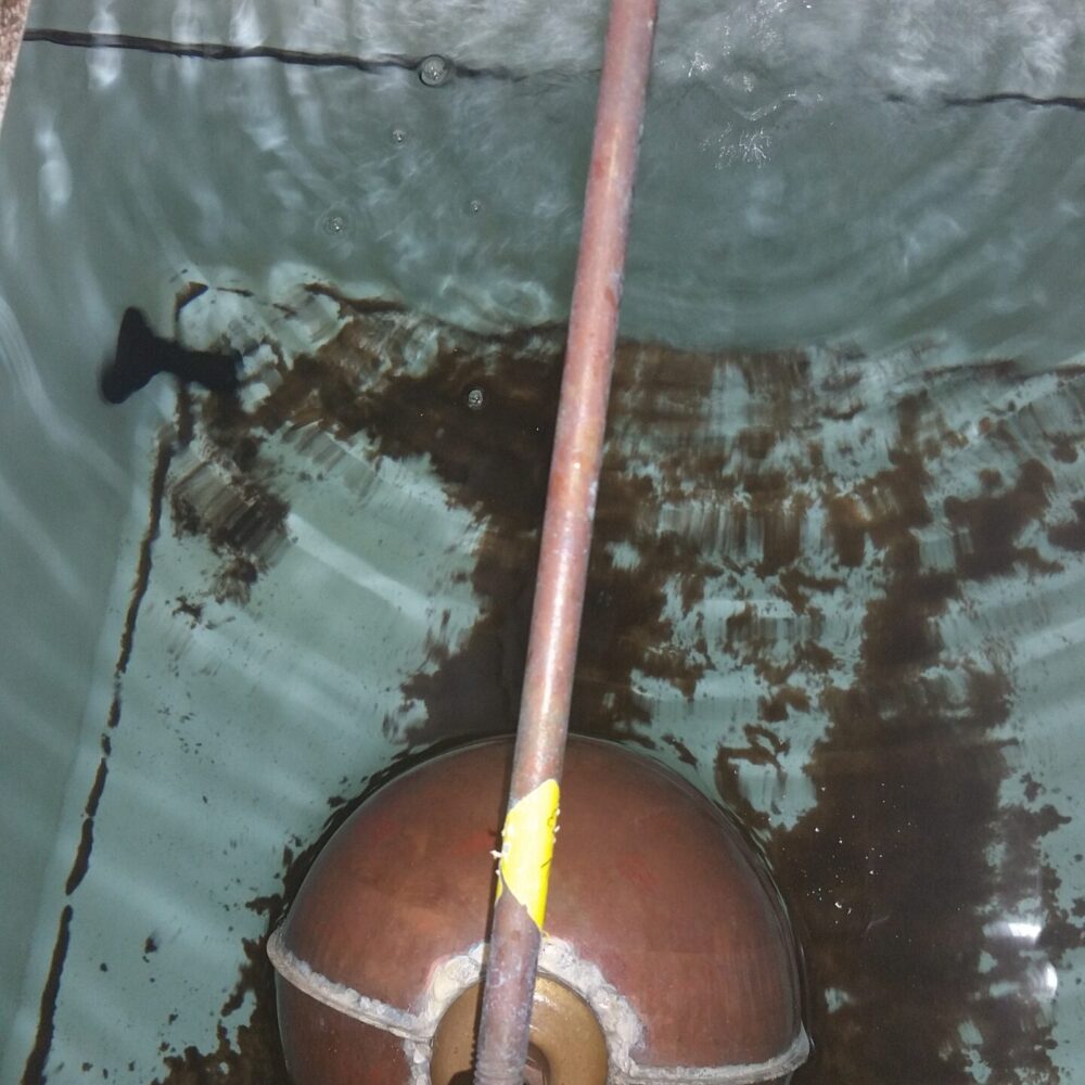 Cistern Before Clean Cistern Before Clean