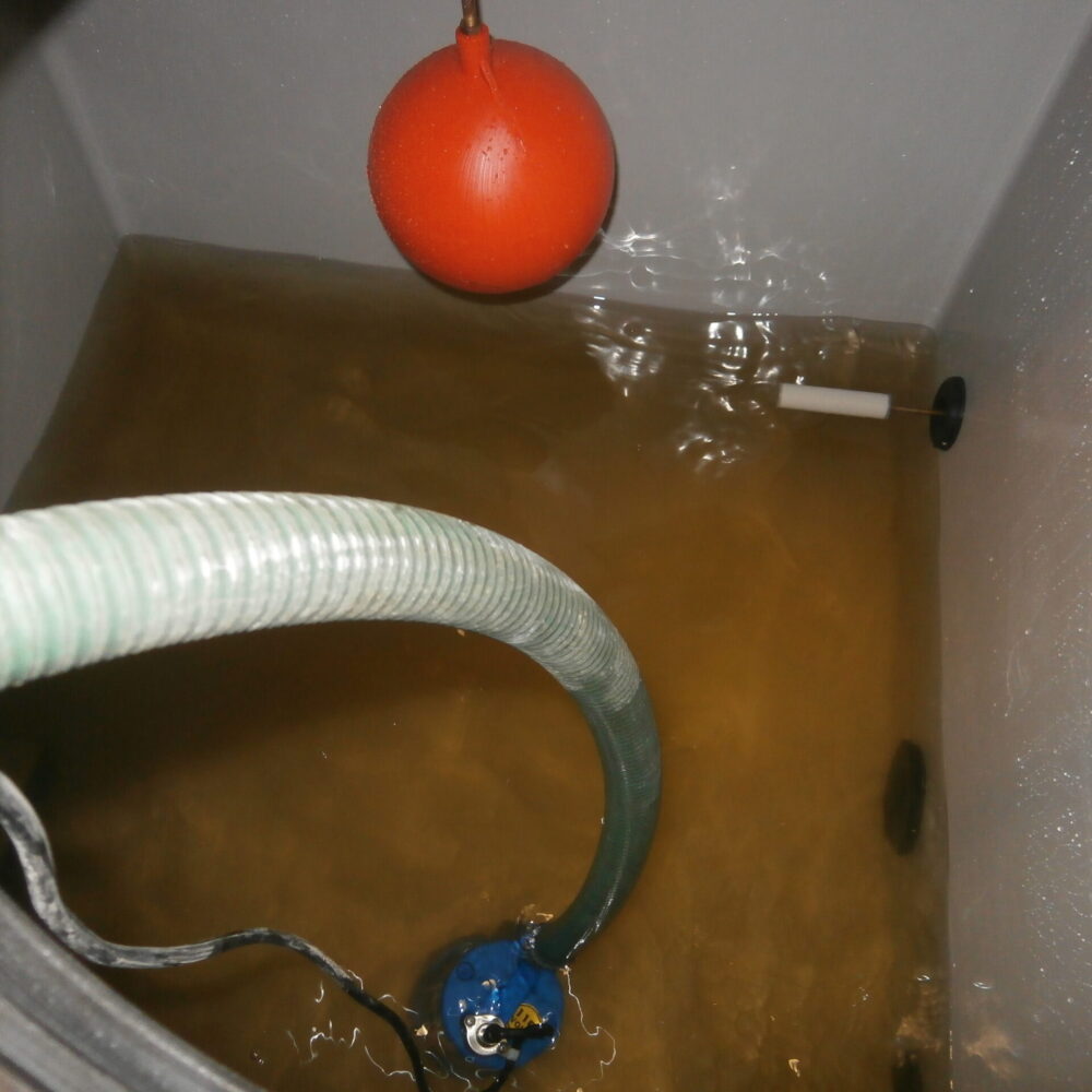 OLYMPUS DIGITAL CAMERA OLYMPUS DIGITAL CAMERA