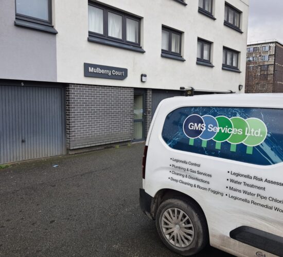 IMG-20220204-WA0001 IMG-20220204-WA0001